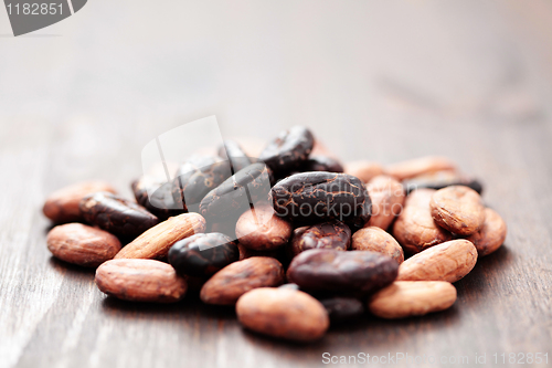 Image of cocoa beans