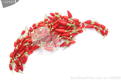 Image of spice (chili) background