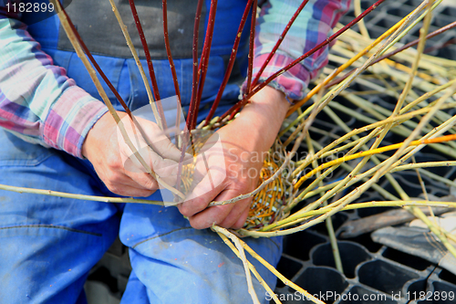 Image of making traditional easter wicker basket 
