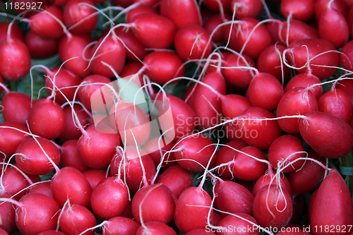 Image of radish heaps