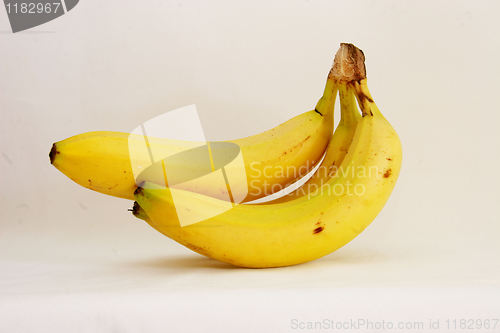 Image of bunch of bananas