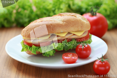 Image of Sandwich with turkey and cheese