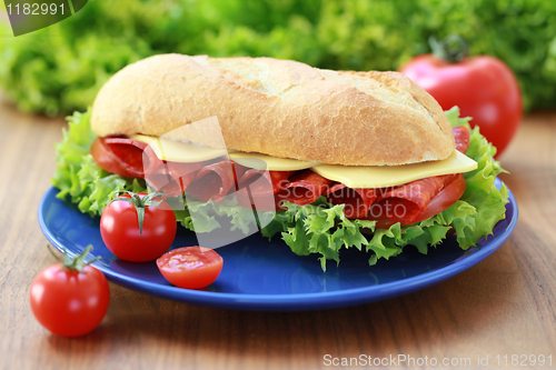 Image of Salami Sandwich