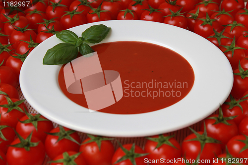 Image of Fresh Tomato soup