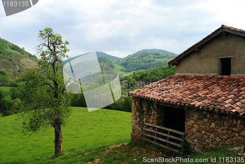 Image of Pyrenees