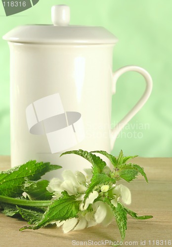 Image of herbal tea - nettle