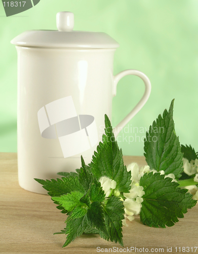 Image of herbal tea - nettle