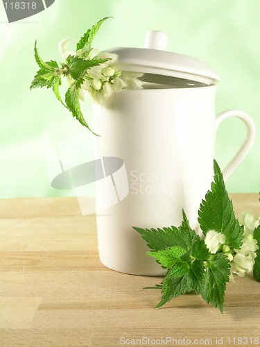 Image of herbal tea - nettle