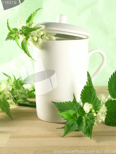 Image of herbal tea - nettle