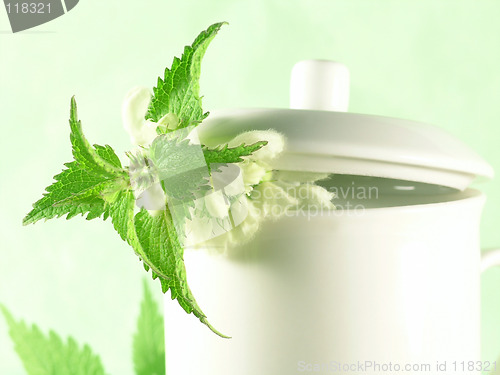 Image of herbal tea - nettle
