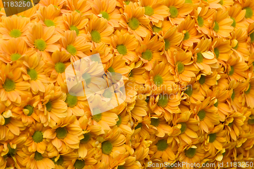 Image of Flowers pattern