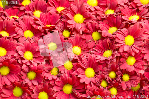 Image of Flowers pattern