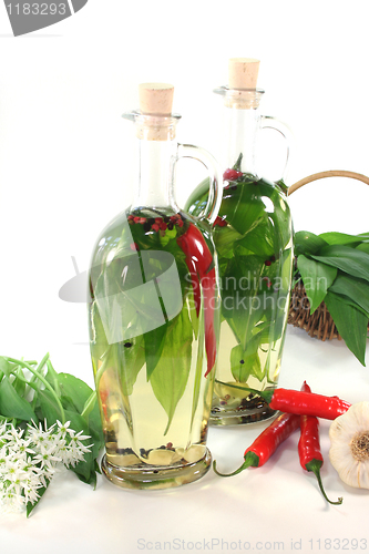 Image of Wild garlic oil