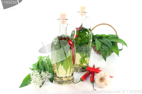 Image of Wild garlic oil