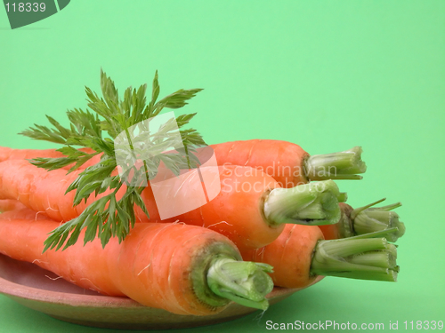Image of fresh carrots
