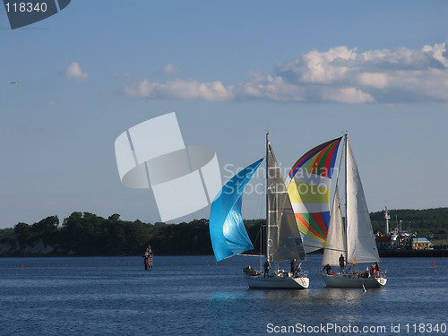 Image of Spinnakers