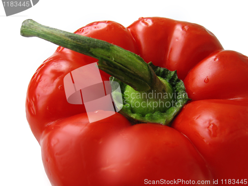 Image of red sweet pepper on a white background 