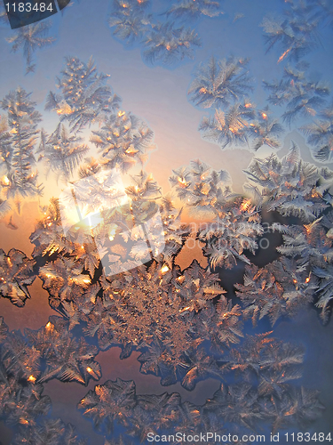 Image of frost and sun