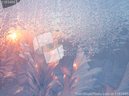 Image of frost and sun