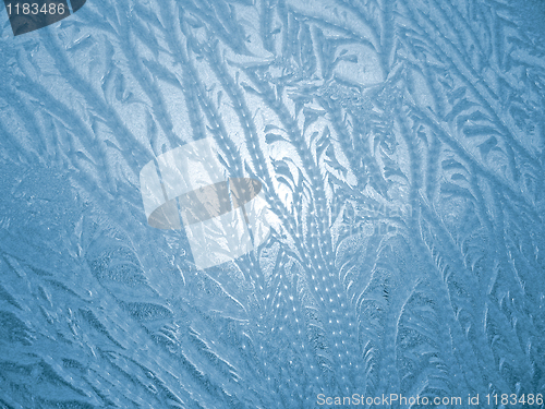 Image of frosty natural pattern