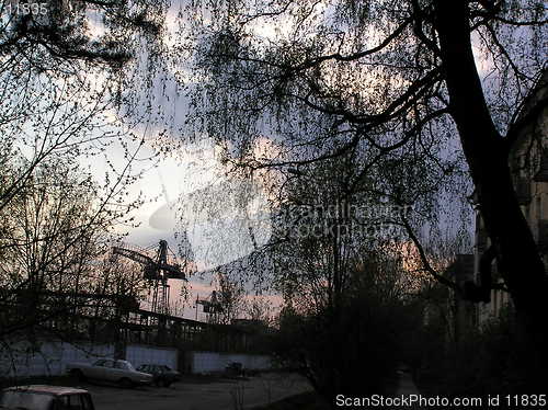 Image of Sky through the trees