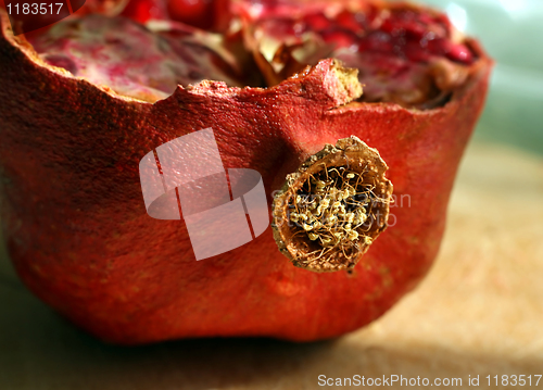 Image of close-up of cut pomegranate fruit