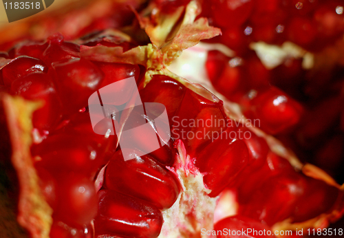 Image of pomegranate background