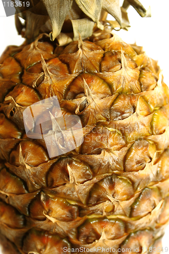 Image of peel of pineapple