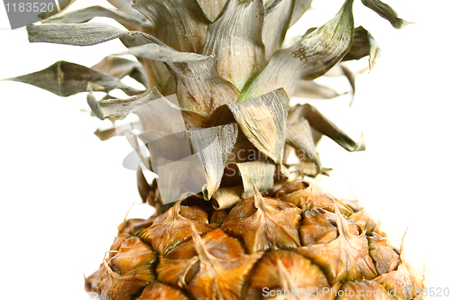 Image of closeup of pineapple 