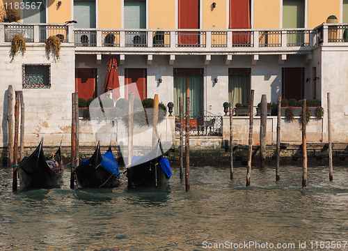 Image of House in Venice