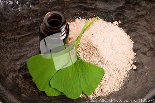 Image of fresh leaves ginko biloba essential oil and powder - beauty trea