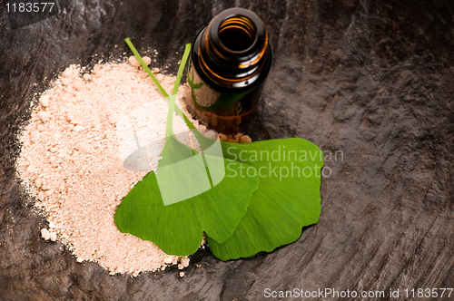 Image of fresh leaves ginko biloba essential oil and powder - beauty trea