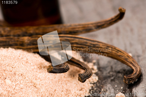 Image of Vanilla With Bottle Of Essential Oil And Powder- Beauty Treatmen