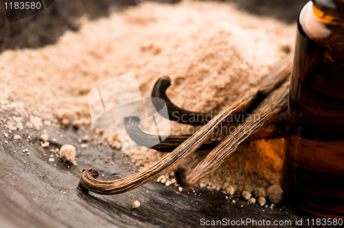 Image of Vanilla With Bottle Of Essential Oil And Powder- Beauty Treatmen