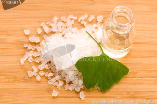 Image of fresh leaves ginko biloba essential oil and sea salt - beauty tr