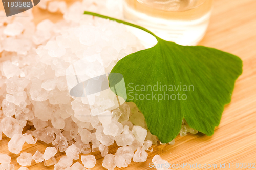Image of fresh leaves ginko biloba essential oil and sea salt - beauty tr