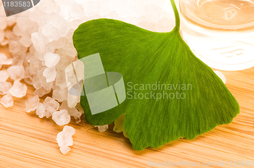 Image of fresh leaves ginko biloba essential oil and sea salt - beauty tr