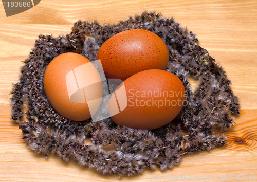 Image of Soft chicken nest