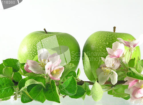 Image of green apple