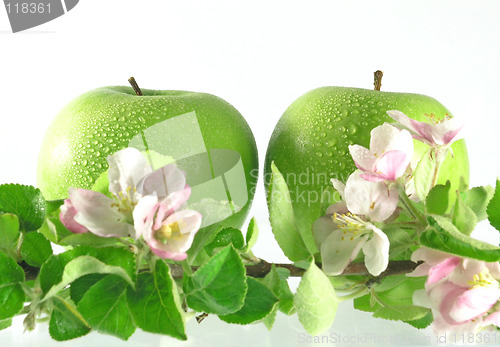 Image of green apple