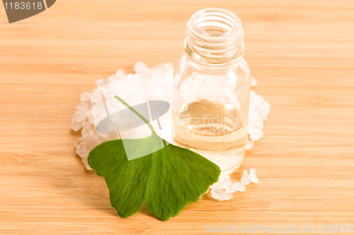 Image of fresh leaves ginko biloba essential oil and sea salt - beauty tr