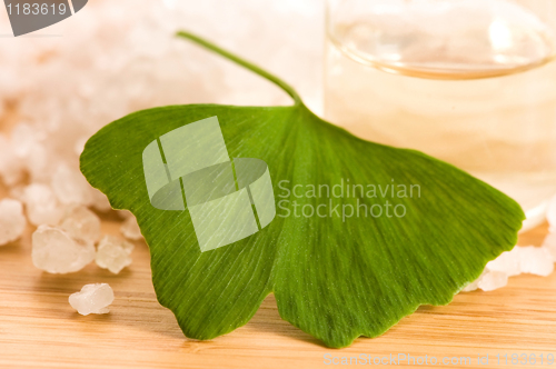 Image of fresh leaves ginko biloba essential oil and sea salt - beauty tr