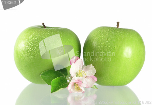 Image of green apple