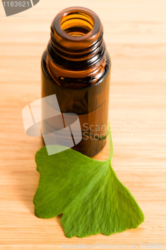 Image of ginko biloba essential oil with fresh leaves - beauty treatment