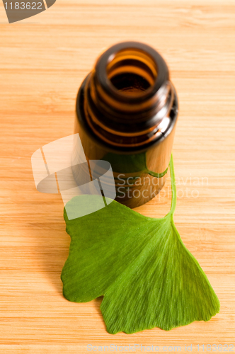 Image of ginko biloba essential oil with fresh leaves - beauty treatment