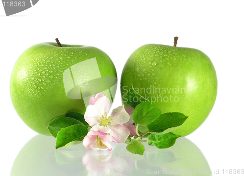 Image of green apple