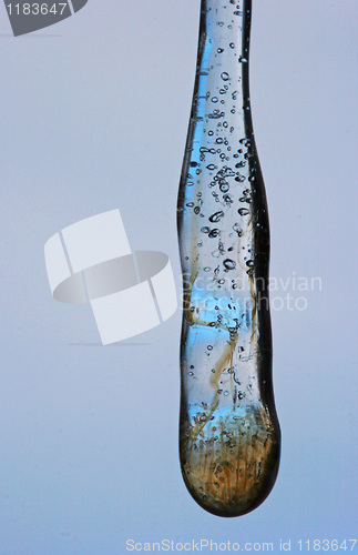 Image of forrest in an icicle