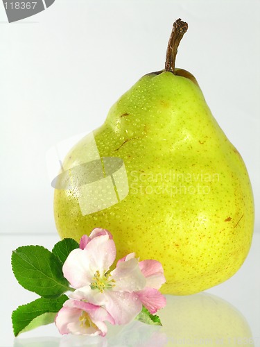 Image of yellow pear