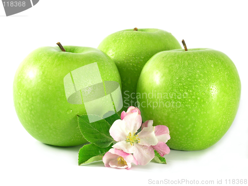 Image of green apple