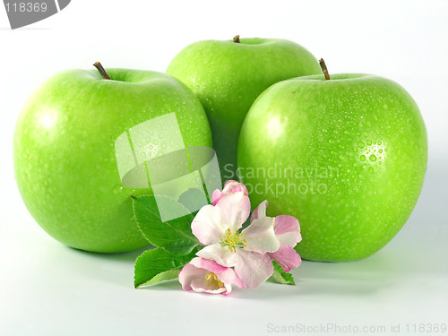 Image of green apple